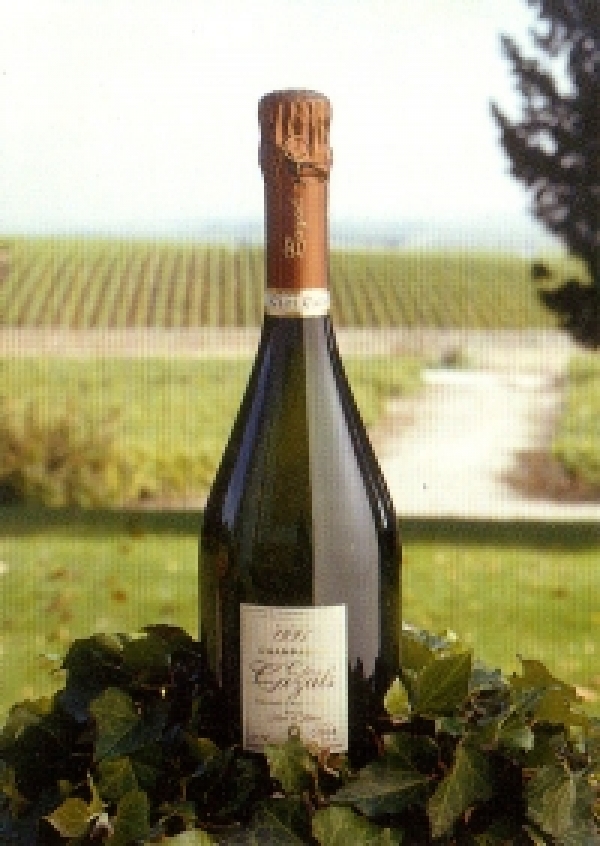 Игристое сухое белое вино Clos Cazals 1996