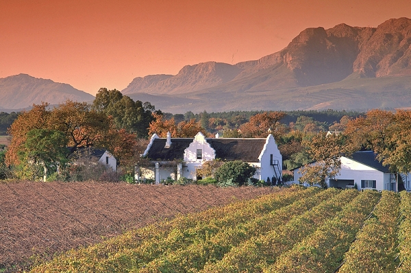 Чили, ЮАР как они делают вино