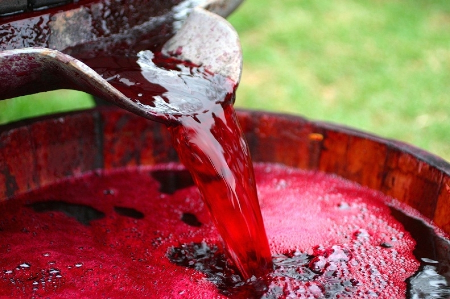 Рецепт вина из черноплодной рябины. Как сделать в домашних условиях пошагово?