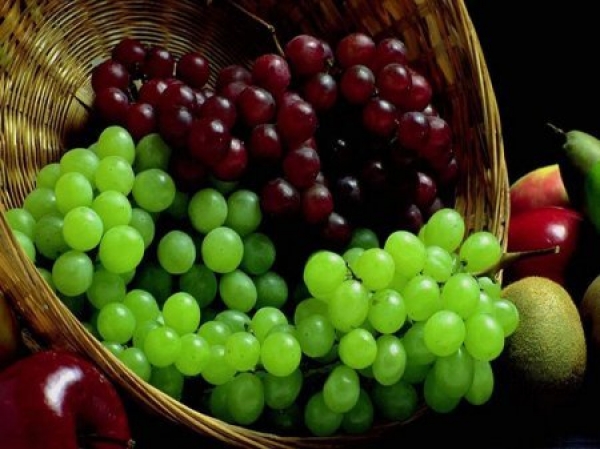 Подготовка плодов и ягод для виноделия