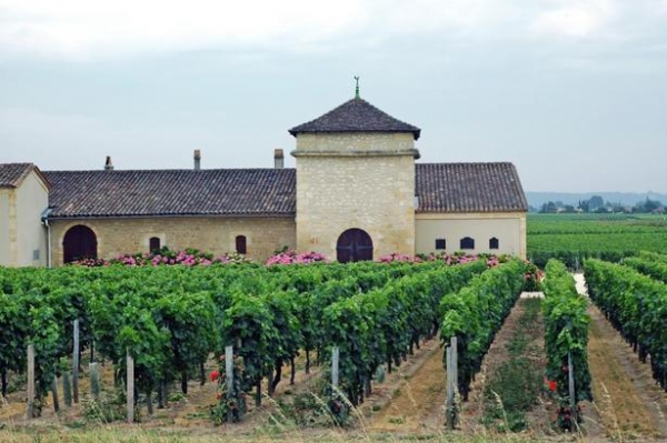 Вино во Франции