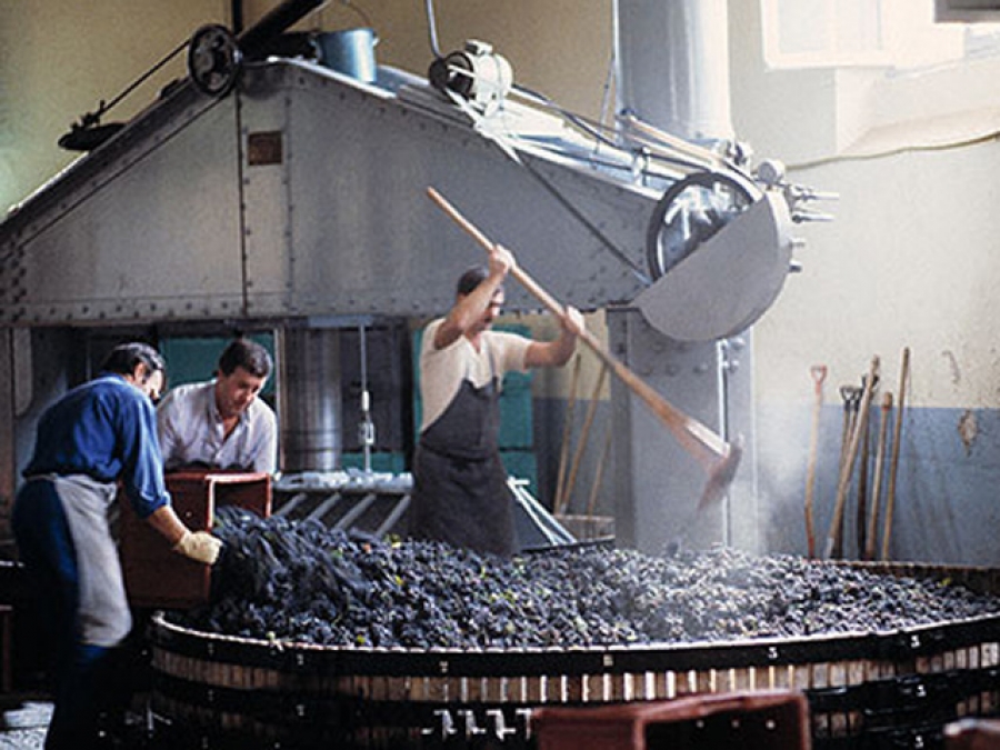 Производство виноградных вин. Производство вина. Винодельческая промышленность. Процесс приготовления вина на заводе. Вино этапы производства.