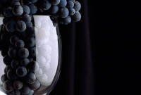 Безалкогольное вино – напиток созданный дарить здоровье