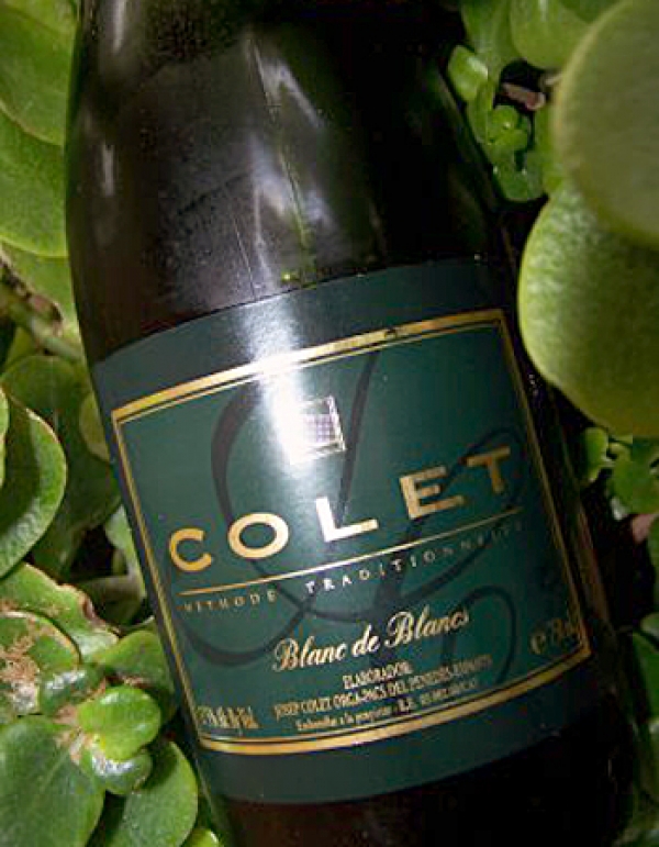 Испанское игристое вино Colet